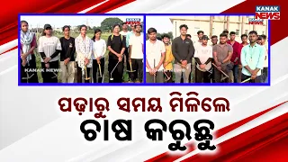ପଢ଼ାରୁ ସମୟ ମିଳିଲେ ଚାଷ କରୁଛୁ | Students Turn Farmers After Study Hours, Hard Work Wins Hearts