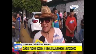 Barrio San José Oriental celebra 33 años de recorrido de vacas culonas