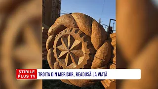 TROIȚA DIN MERIȘOR, READUSĂ LA VIAȚĂ