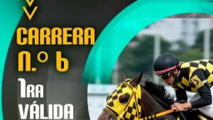 6TA CARRERA HIPICA - 1ERA VALIDA - HIPODROMO LA RINCONADA 22 FEB 