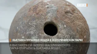An Exhibition of Bizarre Objects at Catherine Park