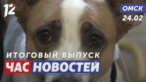 Брошенная собака ищет дом / Битва умов началась! / МЧС напоминает о безопасности. Новости Омска