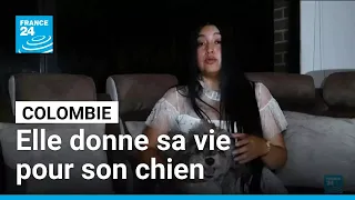 Séisme en Colombie : un chien sauvé au prix de la vie de sa maîtresse • FRANCE 24