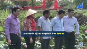 Tân Hưng thăm đồng trong những ngày đầu xuân