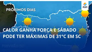 Heat gains strength and Saturday could see highs of 31°C in SC