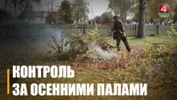 Экологи усилили контроль из-за сжигания сухой растительности и мусора на участках на Гомельщине