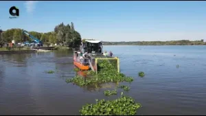 Aquisição da Nova Ceifeira Aquática na Pateira de Fermentelos