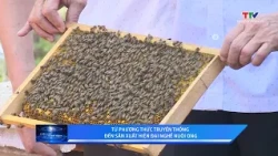 Science and Life, October 30, 2026 | Thanh Hoa Television