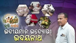 କୃଷି ଦର୍ଶନ | Krishi Darshan | EP#14 | ଉଦୀୟମାନ ଉଦ୍ୟୋଗୀ ଉଦୟନାଥ | Integrated Farming Success Story