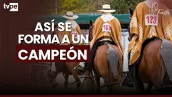 How much time is needed to train a champion horse?