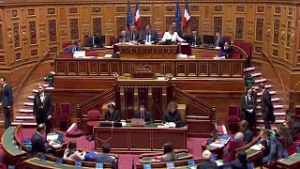 Nouvelle-Calédonie : le projet de loi constitutionnelle passe l’étape du Sénat