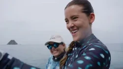 Dolphins: Curiosities and secrets of one of the ocean's most intelligent animals | Dr. LauVet