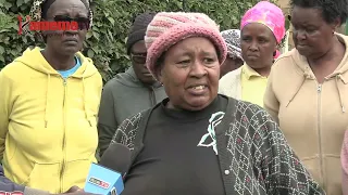 Man from Muthure, Kiambu mauled to death by dogs