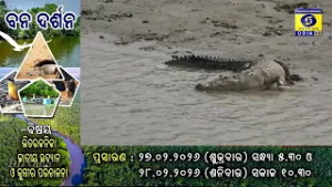 Promo || Bhitarakanika