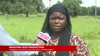 BOOSTING RICE PRODUCTION