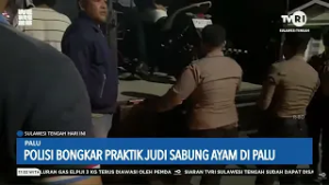 STHI - Polisi Bongkar Praktik Judi Sabung Ayam di Palu