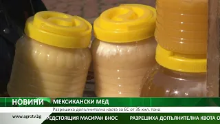 МЕКСИКАНСКИ МЕД: Разрешиха допълнителна квота за ЕС от 35 хил. тона
