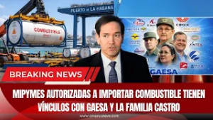 Mipymes autorizadas a importar combustible tienen vínculos con GAESA y la familia Castro