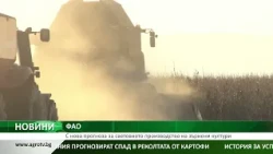 ФАО: С нова прогноза за световното производство на зърнени култури