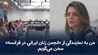 Azadeh Alemi, Human Rights Conference at the United Nations Office in Geneva