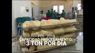 Betting on Productive Solutions: 26 de Julio Cooperative