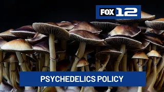 Portland looks to make psychedelics a low police priority