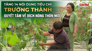 With 14 New Criteria Met, Truong Thanh Is Determined to Reach Its Rural Development Goal | CT-TDT