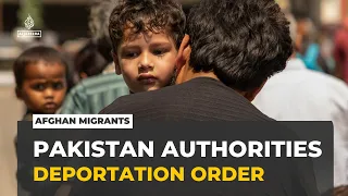 Afghan migrants in Pakistan: Authorities launch new deportation campaign