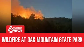 Large brush fire at Oak Mountain State Park