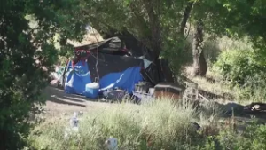 California Senate reviews homelessness spending in oversight hearing