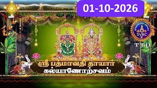 Sri Padmavathi Ammavari || Kalyanotsavam || Tiruchanoor || 01-10-2026 || SVBC2 Tamil || SVBC TTD