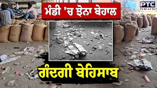 Ludhiana Mandi 'ਚ ਸਫ਼ਾਈ ਦੇ ਦਾਅਵੇ ਫੇਲ੍ਹ?, ਮੰਡੀ 'ਚ ਝੋਨਾ ਜਾਂ ਗੰਦਗੀ?  | Punjabi News