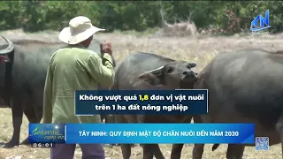 Tay Ninh: Livestock Density Regulations Through 2030