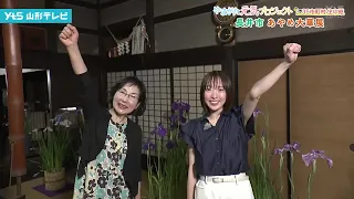 [Missed It] Ayame Flower Exhibition: Live from Nagai City with Announcer Runa Kosaka