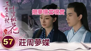 莊周夢蝶！既然夢裡有愛人在身旁 又何必分清是夢境還是現實呢？【三生三世十里桃花】精華 EP57-8 楊冪、趙又廷、迪麗熱巴、高偉光、張智堯 @ctvdrama_classic