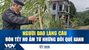 Người Dao Làng Câu đón Tết no ấm từ những đồi quế xanh | VOV