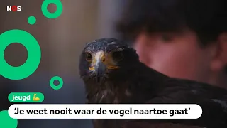 Bram puts on bird of prey shows: 'Sometimes it's nerve-wracking'