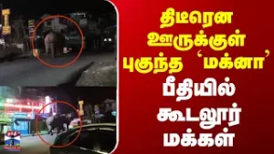 Nilgiris | Elephant | திடீரென ஊருக்குள் புகுந்த `மக்னா’ - பீதியில் கூடலூர் மக்கள்