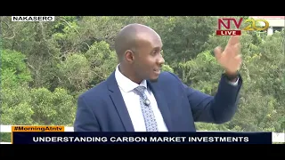 Understanding carbon market investments |Morning at NTV