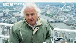 Singapore Engineers A Future For Nature | 20 Years of Planet Earth II | BBC Earth