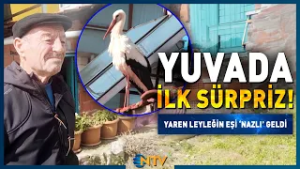 Nazlı Geldi, Yaren Leylek İçin Heyecanlı Bekleyiş Başladı! | NTV