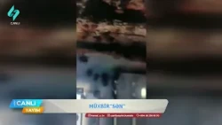 Qəhvəyi mərmər bağacığı evlərə doldu: Hansı tədbirlər görülür? | Canlı Yayım