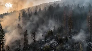 KRITIČNO u Bihaću, POŽAR U MINSKOM POLJU! U Bosanskom Petrovcu građani GOLIM RUKAMA GASILI POŽAR!