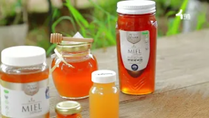 Apicultor guanajuatense: Guardián de las abejas y la naturaleza. ? Guanajuatenses que dejan huella ?