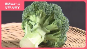 ブロッコリーが国の指定野菜に　ジャガイモ以来およそ50年ぶり　ビタミンC、Aが豊富　おすすめの食べ方は茹でるより蒸す