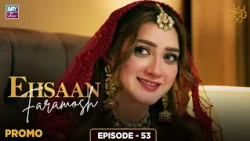 Ehsaan Faramosh Episode 53 | Promo | Momina Iqbal | ARY Zindagi