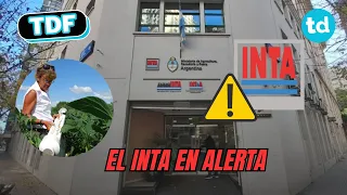 🌾 El INTA alerta por el impacto del ajuste: "No es achicar por achicar"