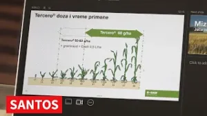 KOMPANIJA BASF PREDSTAVILA INOVACIJE I NOVE PREPARATTE ZA 2026  GODINU