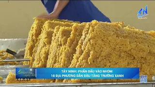 Tay Ninh Strives to Join Top 10 Localities Leading in Green Growth