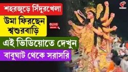Durga Puja | Babughat | শহরজুড়ে সিঁদুরখেলা উমা ফিরছেন শ্বশুরবাড়ি,  দেখুন বাবুঘাট থেকে সরাসরি